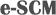 E-SCM